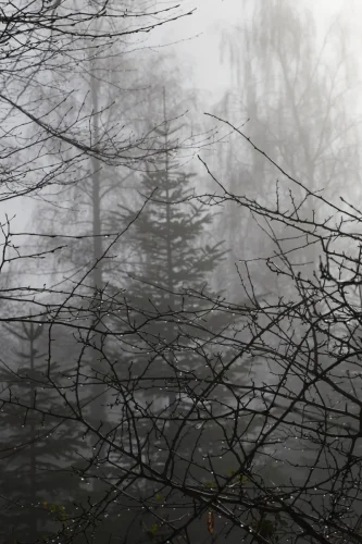 029 ©DHaagenwww.hagi-life.ch  5II3348