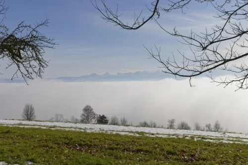 035 ©DHaagenwww.hagi-life.ch  5II3367