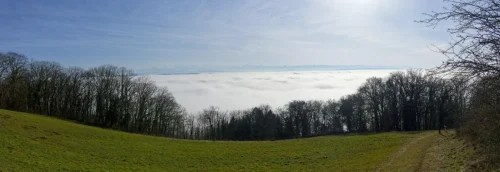 041 ©DHaagen 6525Panorama