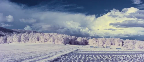 019 Panorama-1472
