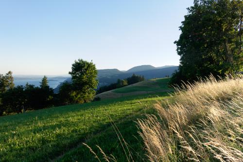 _DSC1964_DxO