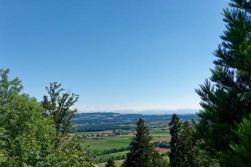 _DSC1987_DxO