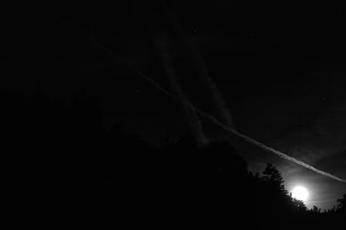 _DSC2013_Nik_DxO