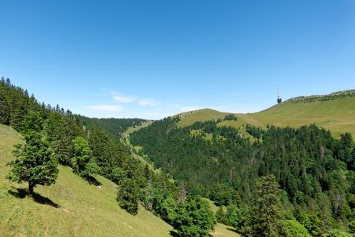 _DSC2017_DxO