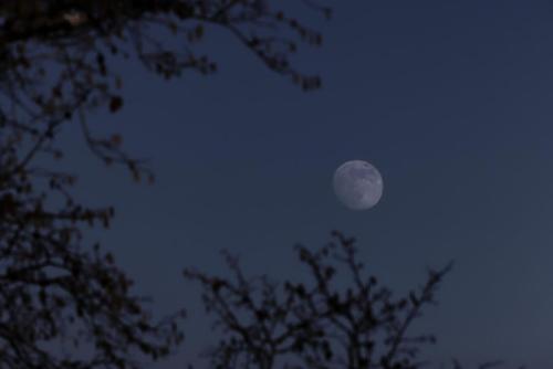 _T4A3226_DxO