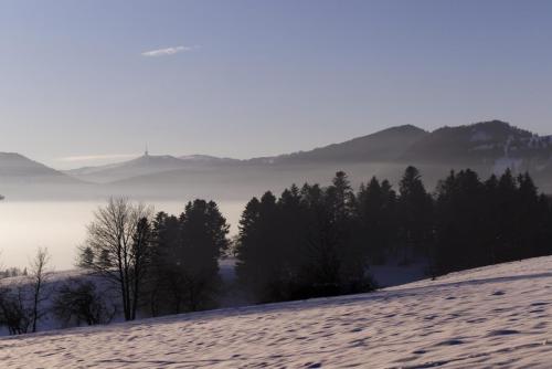 _T4A3240_DxO