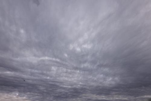 _T4A3918_DxO