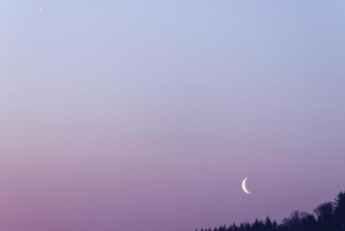 _T4A3931_DxO