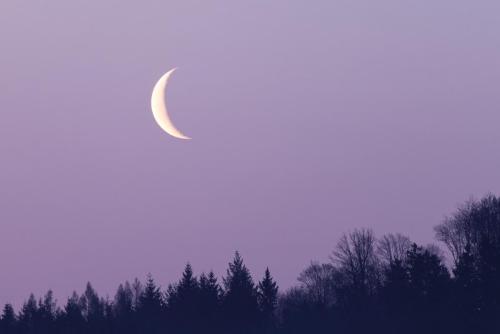 _T4A3933_DxO