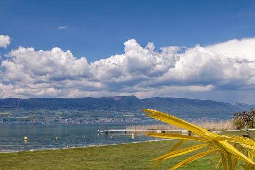 _T4A3980_DxO