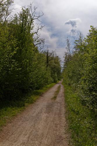 _T4A4052_DxO