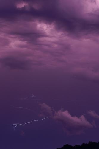 _T4A4247_DxO