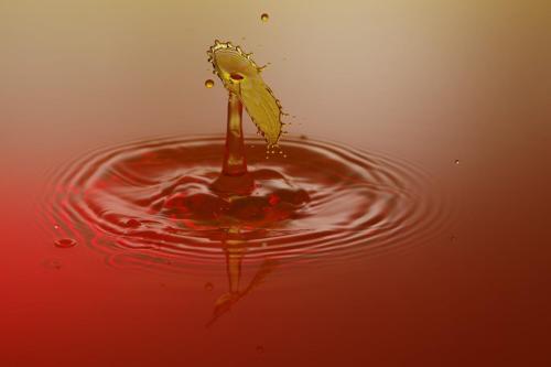 _X1A3268_DxO