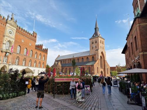 danmark036