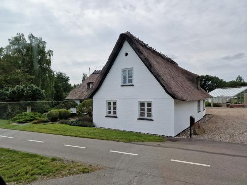 danmark039